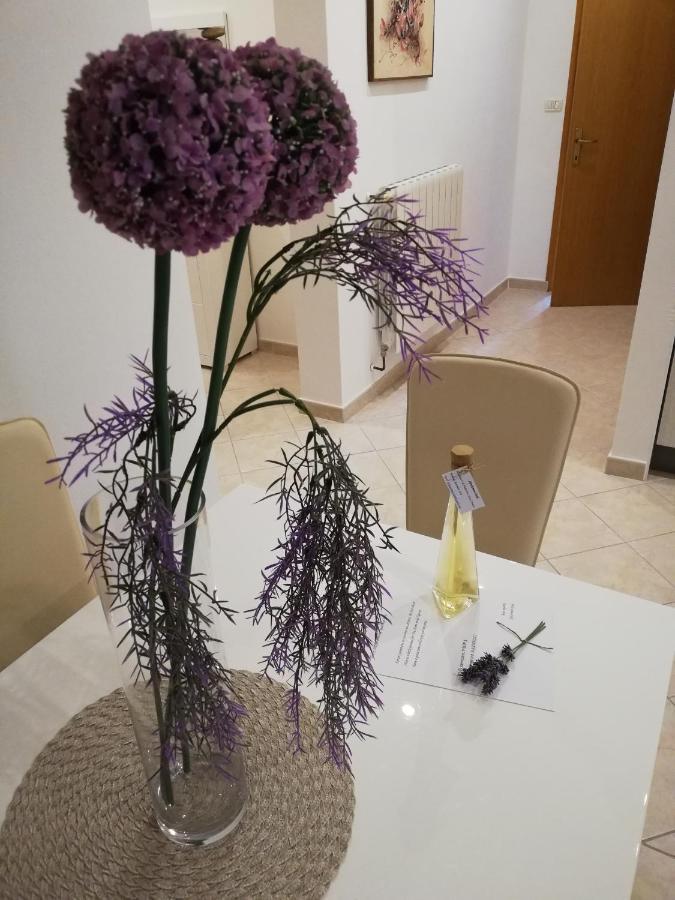 Apartman Doli Nedescina ภายนอก รูปภาพ